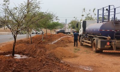 Serviços de irrigação em grande escala ocorrem em Palmas, neste sábado, 2 – Foto: Lia Mara