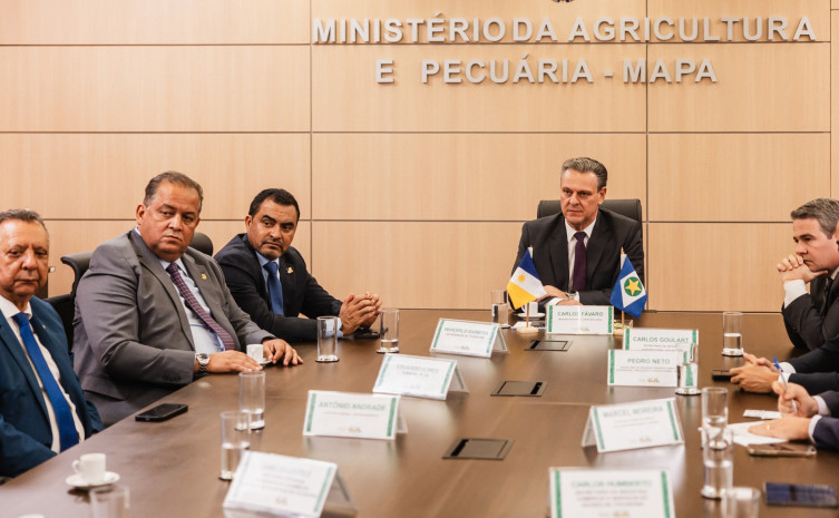 Governador Wanderlei Barbosa esteve acompanhado de equipe tocantinense durante encontro com o ministro Carlos Fávaro, em Brasília - Foto: Vinícius Santa Rosa/Governo do Tocantins