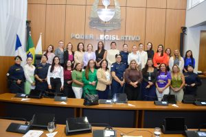 Câmara de Palmas realiza audiência pública sobre enfrentamento à violência contra a mulher