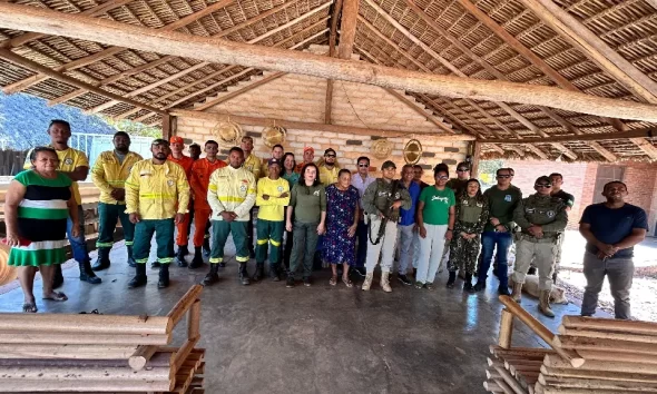 Força-tarefa da Operação Capim-Dourado integra órgãos públicos estaduais