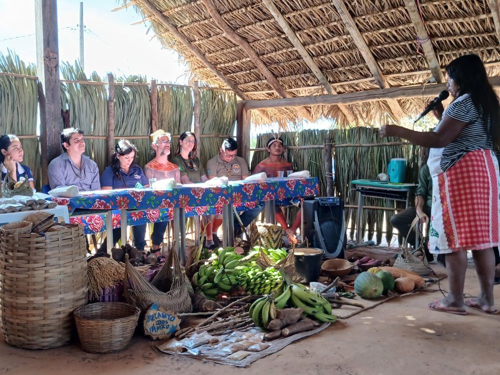 Catrapovos fortalece mecanismos de compra direta dos produtores para escolas de povos indígenas e comunidades tradicionais no Tocantins