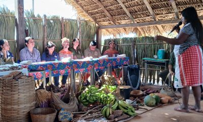 Catrapovos fortalece mecanismos de compra direta dos produtores para escolas de povos indígenas e comunidades tradicionais no Tocantins