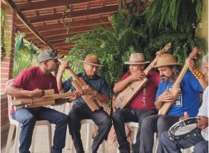 Projeto preserva e divulga memória da Viola de Buriti na internet