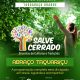 Salve Cerrado: Taquaruçu Grande