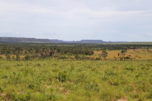 boletim do meio ambiente