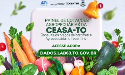 Plataforma consolida dados das principais unidades da Ceasa no estado, incluindo as de Palmas, Paraíso do Tocantins e Gurupi - Foto: Naturatins/Governo do Tocantins