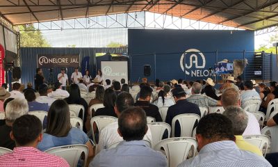 Feira de Touros Nelore JAL tem apoio do Sistema FAET/SENAR em Araguaçu – Portal Jaciara Barros Sistema FAET/SENAR apoia a 11ª edição da Feira de Touros Nelore JAL em Araguaçu