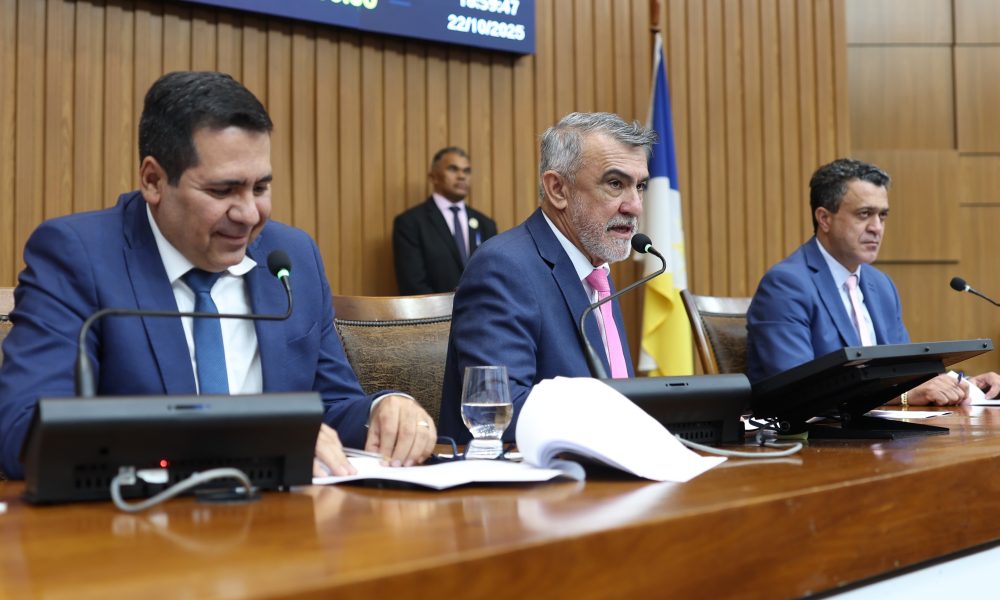 Sessão Plenária - foto Aline Batista