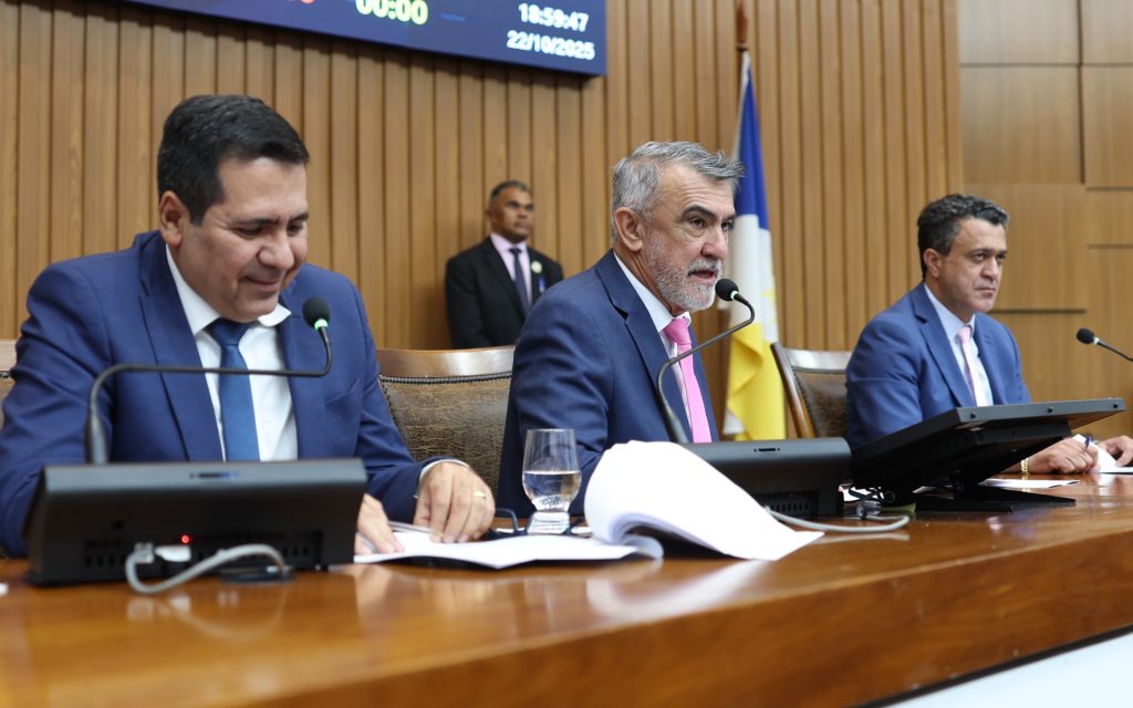 Sessão Plenária - foto Aline Batista