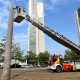 Resgate de arara em Palmas mobiliza equipe do Corpo de Bombeiros – Portal Jaciara Barros Bombeiros utilizam auto-escada para resgatar arara-canindé presa em palmeira — Foto: Divulgação/CBMTO