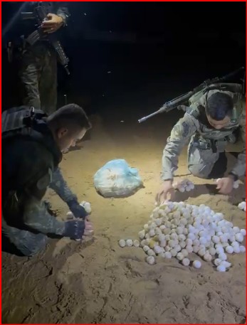 Operação Protetor dos Biomas PMTO apreensão pescado e tartarugas