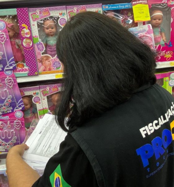 O produto que apresentou a maior variação foi a Boneca Milkinha – Faz Xixi, da marca Milk, apresentou a maior variação de preço, 133,38%, sendo encontrada entre R$ 29,99