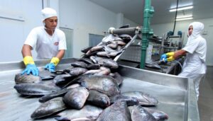 Resultado coloca o Tocantins entre os 10 estados brasileiros com a menor taxa de desemprego desde o início da série histórica da pesquisa, em 2012 (Crédito foto: Ademir dos Anjos/Governo do Tocantins)