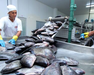 Resultado coloca o Tocantins entre os 10 estados brasileiros com a menor taxa de desemprego desde o início da série histórica da pesquisa, em 2012 (Crédito foto: Ademir dos Anjos/Governo do Tocantins)