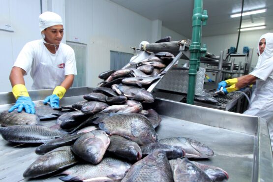 Resultado coloca o Tocantins entre os 10 estados brasileiros com a menor taxa de desemprego desde o início da série histórica da pesquisa, em 2012 (Crédito foto: Ademir dos Anjos/Governo do Tocantins)