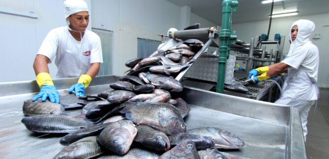 Resultado coloca o Tocantins entre os 10 estados brasileiros com a menor taxa de desemprego desde o início da série histórica da pesquisa, em 2012 (Crédito foto: Ademir dos Anjos/Governo do Tocantins)