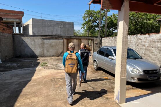 Tocantins reforça ações de combate à dengue – Portal Jaciara Barros O penúltimo sábado de novembro é considerado o Dia Nacional de Combate à Dengue