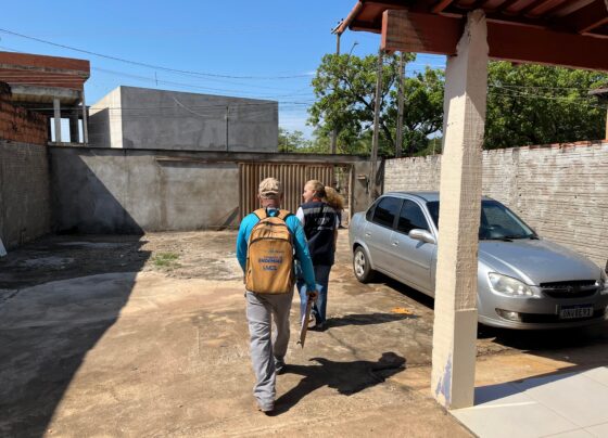 O penúltimo sábado de novembro é considerado o Dia Nacional de Combate à Dengue