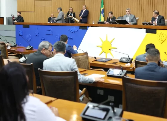 Deputados aprovam Medida Provisória que protege a vegetação nativa no Tocantins