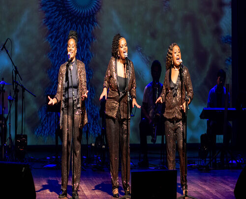 Cantoras negras ebano