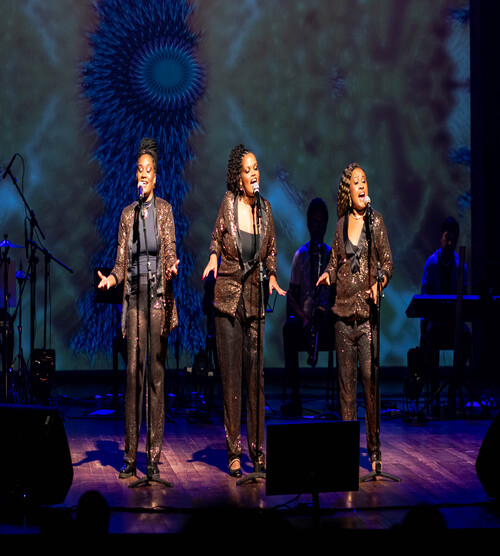 Cantoras negras ebano