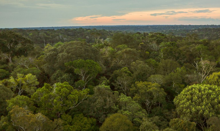 Demarcações fortalecem a proteção climática, a diversidade sociocultural e a justiça ambiental - Foto: Agência Brasil