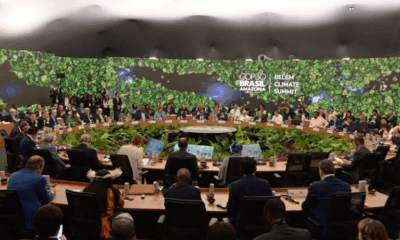 COP 30 - Divulgação