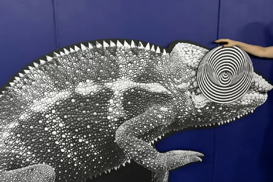 Museu das Ilusões no Capim Dourado Shopping é opção acessível nas férias – Portal Jaciara Barros Museu das Ilusões no Capim Dourado Shopping é opção acessível nas férias