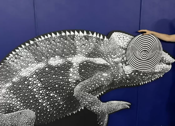 Museu das Ilusões no Capim Dourado Shopping é opção acessível nas férias