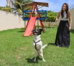 Política de proteção animal transforma vidas em Palmas