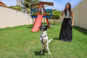 Política de proteção animal transforma vidas em Palmas