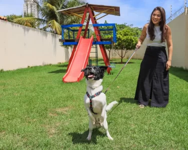 Política de proteção animal transforma vidas em Palmas