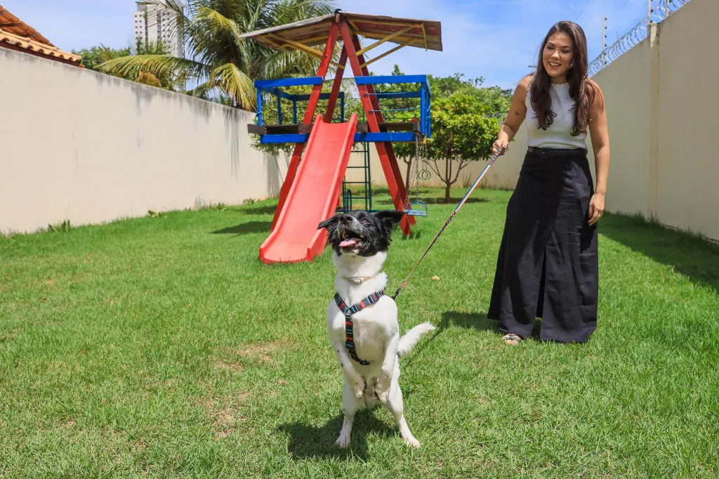 Política de proteção animal transforma vidas em Palmas