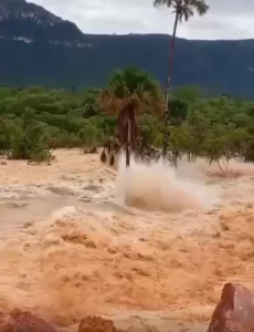Rompimento de barragem em Ponte Alta do Bom Jesus é investigado