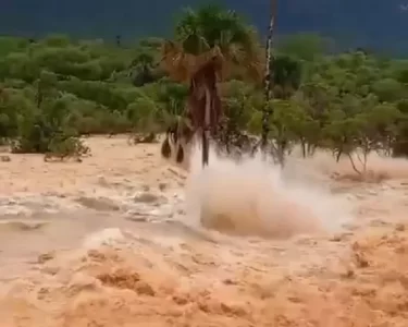 Rompimento de barragem em Ponte Alta do Bom Jesus é investigado