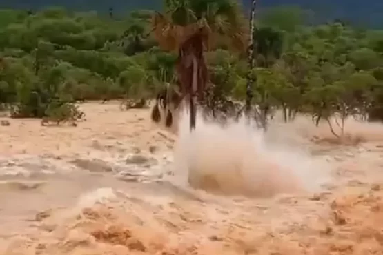 Rompimento de barragem em Ponte Alta do Bom Jesus é investigado