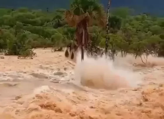 Rompimento de barragem em Ponte Alta do Bom Jesus é investigado