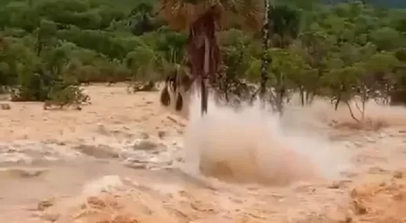 Rompimento de barragem em Ponte Alta do Bom Jesus é investigado