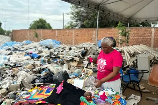 Sebrae mobiliza empresários para descarte responsável em Palmas