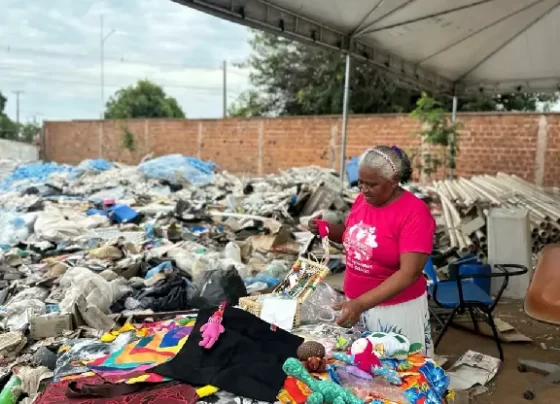 Sebrae mobiliza empresários para descarte responsável em Palmas