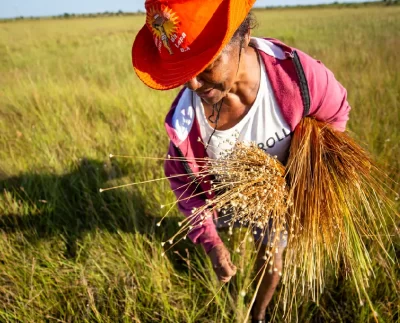 Feira Nacional de Artesanato