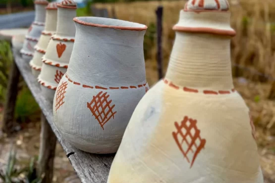 Site da cerâmica do Tocantins é lançado com mapeamento inédito de ceramistas – Portal Jaciara Barros cerâmica do Tocantins