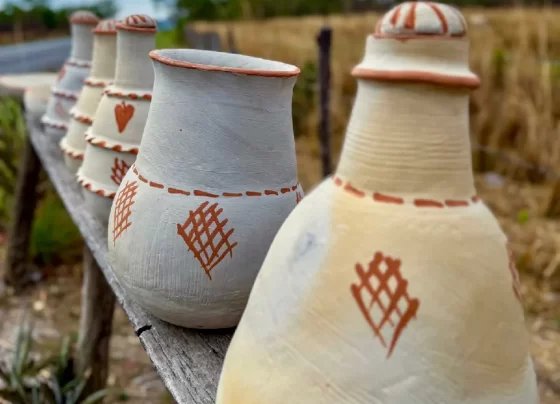 cerâmica do Tocantins
