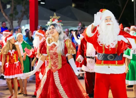 Desfile do Natal Luz de Palmas encanta o público