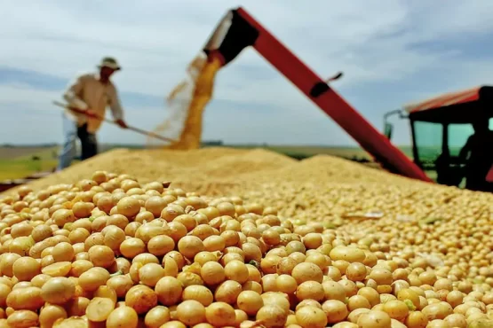 Colheita da Soja 2025/26 no Tocantins