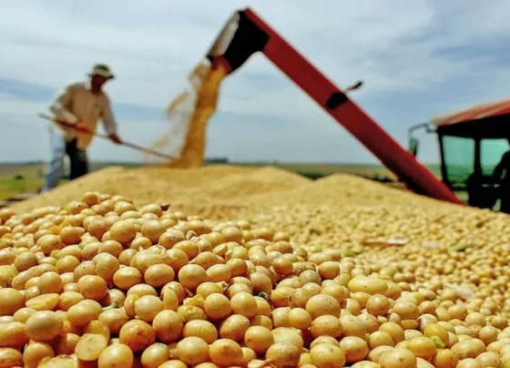 Colheita da Soja 2025/26 no Tocantins