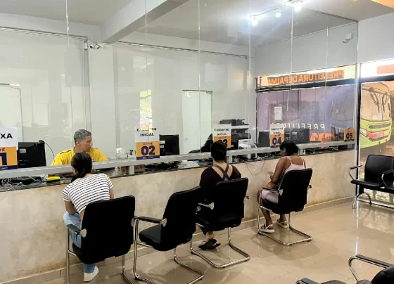 Renovação do transporte coletivo estudantil em Palmas 2026