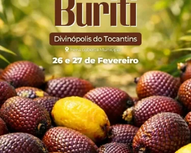 Festival do Buriti fortalece economia sustentável no Tocantins