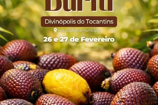 Festival do Buriti fortalece economia sustentável no Tocantins