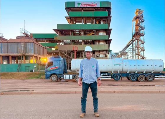 Expansão da soja no Tocantins evidência papel estratégico das agroindústrias na absorção da safra